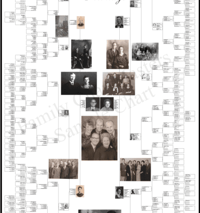 Family Tree Charts For Sale