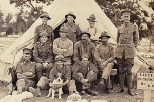 NEW! Legacy Family Tree Webinars: FREE WEBINAR Tracing Australian and New Zealand World War One Ancestors presented by Helen V. Smith, Tuesday, 10:00 pm Eastern / 9:00 pm Central / 8:00 pm Mountain / 7:00 pm Pacific / Wednesday, August 05, 2020 2:00 am GMT / 12:00 pm AEST. The ANZACs were young men from Australia and New Zealand who answered the call in World War One. Using a variety of records, it is generally possible to trace their service and find out the answer to “What did you do in the war?” Click HERE to register for FREE - via Legacy Family Tree Webinars. 