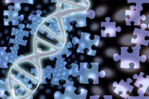 FREE WEBINAR Using DNA to Solve Adoption and Unknown Parentage Mysteries presented by Michelle Leonard, Wednesday, August 5th, 2020, 2:00 pm Eastern / 1:00 pm Central / 12:00 pm Mountain / 11:00 am Pacific. There are some mysteries traditional research can never solve.  DNA testing, however, has revolutionised the options available to adoptees and those with unknown parentage or other unknown ancestors. This webinar will explain how to use DNA results to solve these previously unsolvable mysteries.  Michelle will illustrate the entire process from choosing the correct tests and testing companies through to making contact with newly identified relatives. She will outline how to use DNA cousin matching when you have no known family history to draw upon and give a practical demonstration of the most important techniques and best practices for successfully identifying birth parents or other unknown ancestors. Through the use of illustrative case studies and success stories Michelle will show how DNA testing used in conjunction with traditional research methods can provide much sought after answers for adoptees and anyone looking to solve an unknown ancestor mystery.