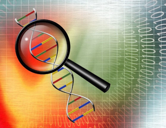 Genealogy Do-Over Step Ten: 1) Reviewing DNA Testing Options and 2) Organizing Research Materials – Digital