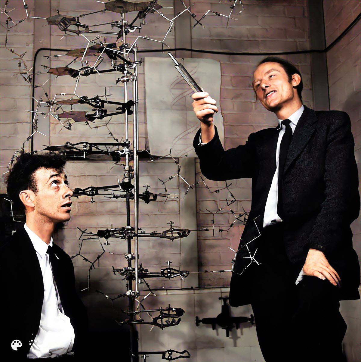 On April 25, 1953, James Watson and Francis Crick formally announced their discovery of deoxyribonucleic acid (DNA) in a short letter published in the science journal, Nature. 