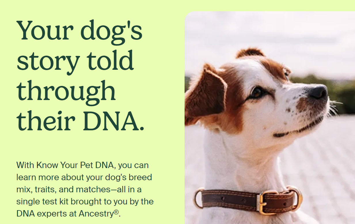 Ancestry National Puppy Day Sale! Save on Ancestry's New Pet DNA Test Kit!