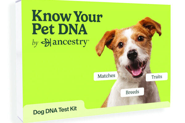 Ancestry Launches Know Your Pet DNA
