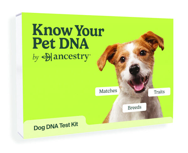Ancestry Launches Know Your Pet DNA helps you learn more about your dog's breed mix, traits, and matches