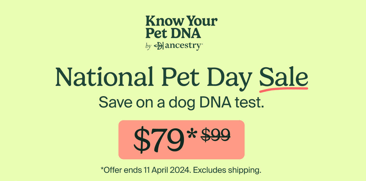 Ancestry National Pet Day Sale! Save on Ancestry's New Pet DNA Test Kit!